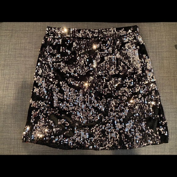 Glitz and Grace Sequin Skirt - Picture 1 of 2